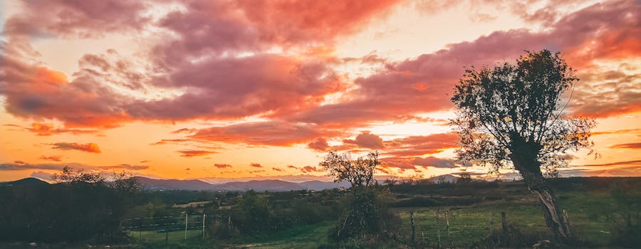 Spot de pique-nique en pleine nature